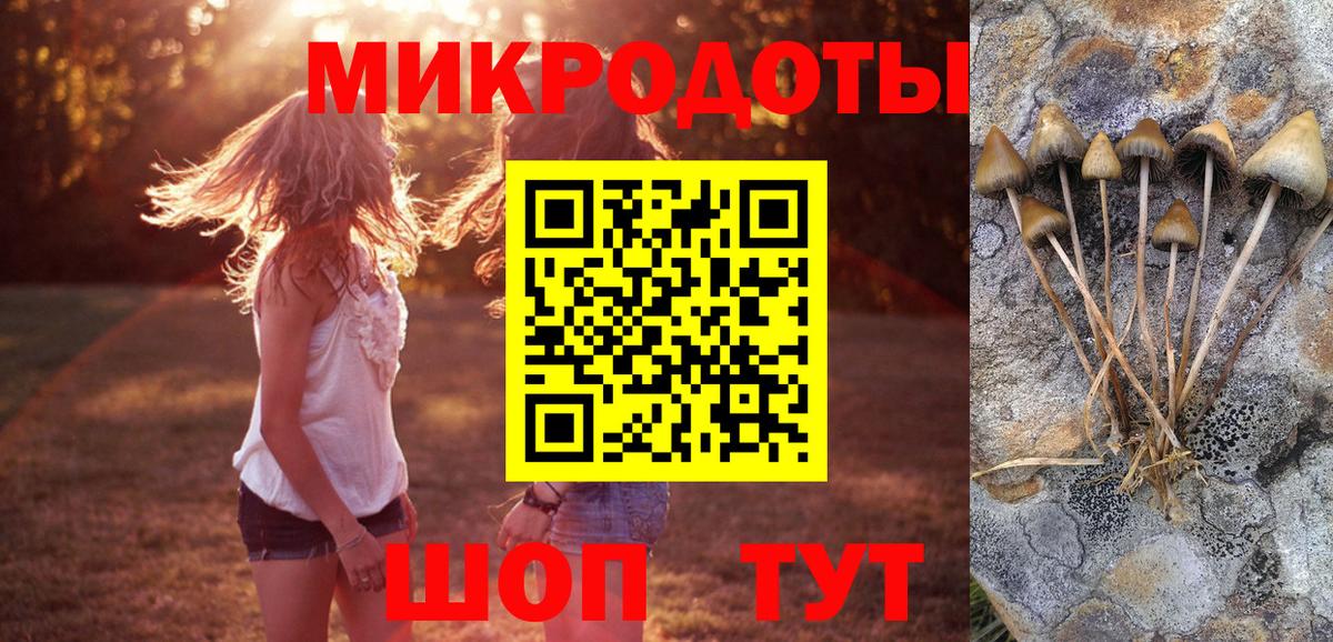 Псилоцибиновые грибы прущие грибы  Вход с VPN  Дагестанские Огни 